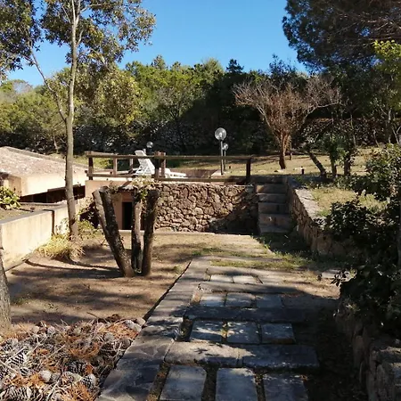 Maria Silvia * Palau